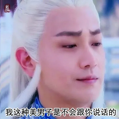 我这种美男子是不会跟你说话的（我这种美男子是不会跟你说话的）