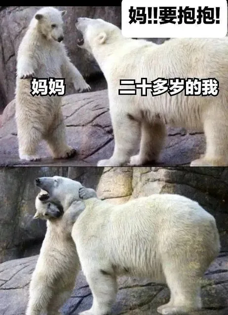 妈!要抱抱!妈妈二十多岁的我