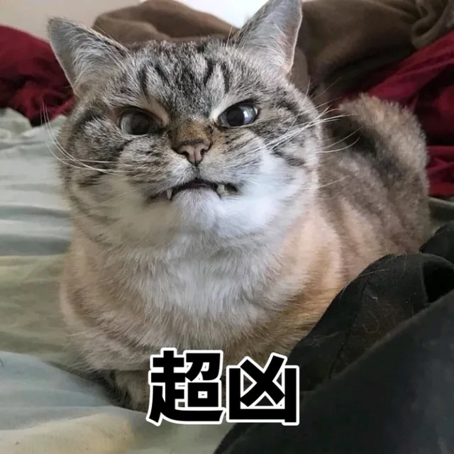 超凶（猫咪）（超凶（猫咪））