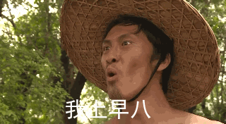 我金早八（我金早八）