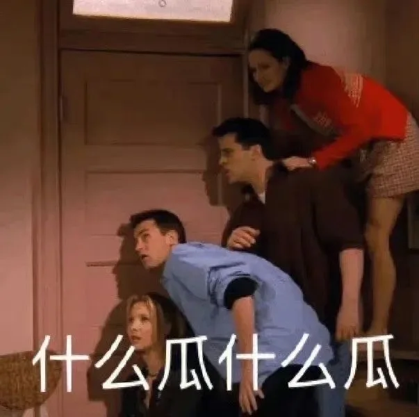 什么瓜什么瓜（什么瓜什么瓜）