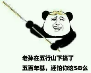 老孙在五行山下搞了，五百年基，还怕你这 SB 么
