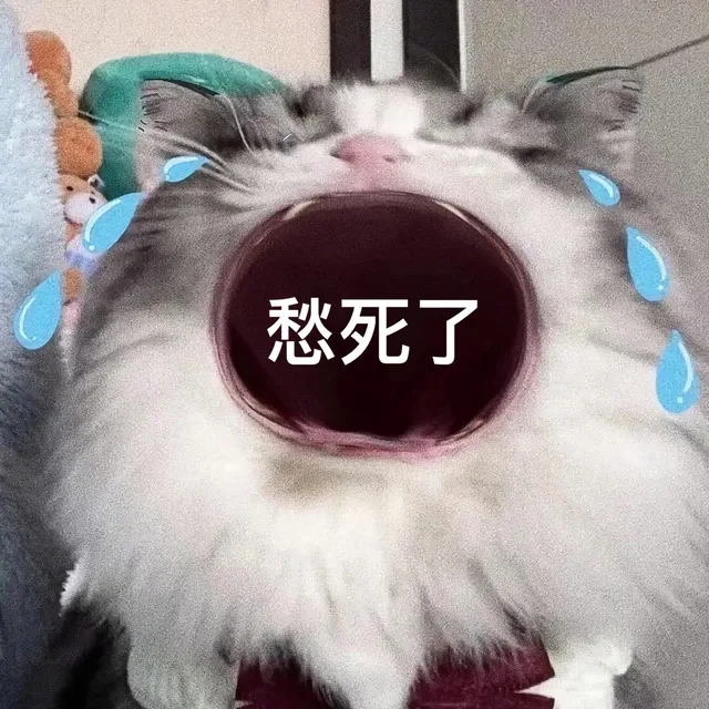 愁死了（愁死了）