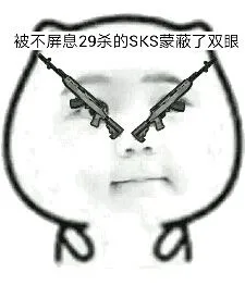 被不屏息29杀的SKS蒙蔽了双眼
