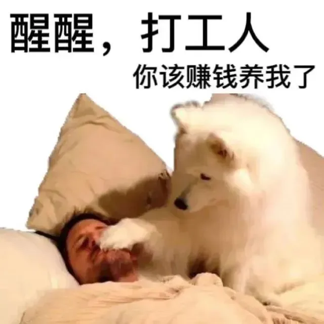 醒醒，打工人你该赚钱养我了（醒醒，打工人你该赚钱养我了）