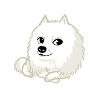 长毛