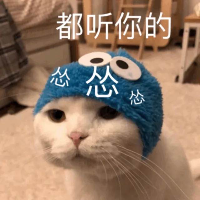 都听你的 怂