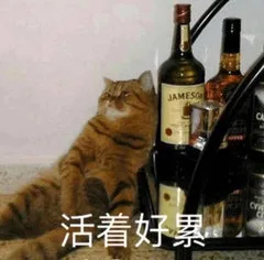 JAMESO活着好累（JAMESO活着好累）