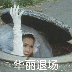 华丽退场（华丽退场）