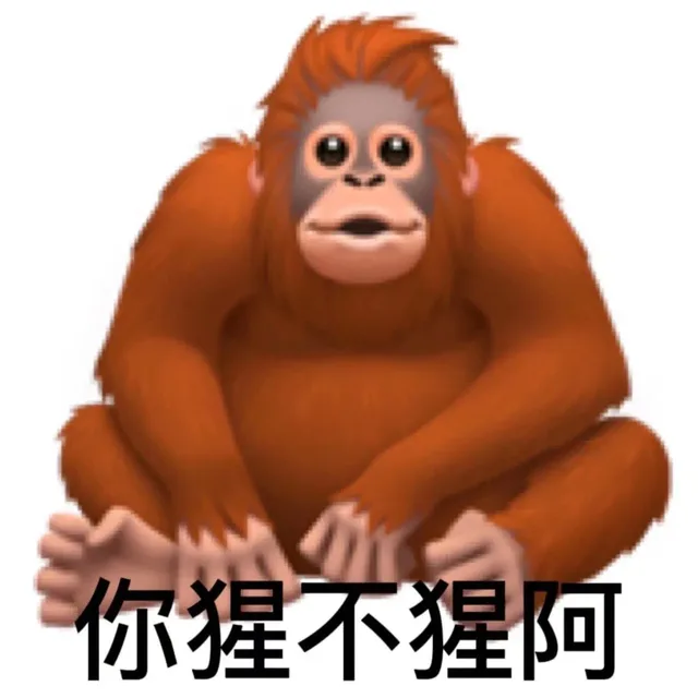 你猩不猩阿