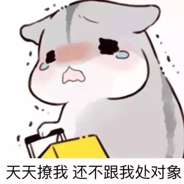 天天撩我，还不跟我处对象