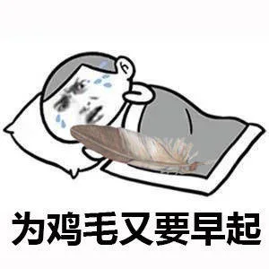 为鸡毛又要早起（为鸡毛又要早起）