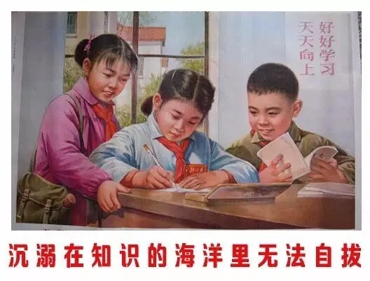 沉溺在知识的海洋里无法自拔（沉溺在知识的海洋里无法自拔）