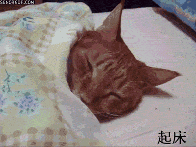 上班族一天的真实写照。。是你么 _上班_内涵表情包