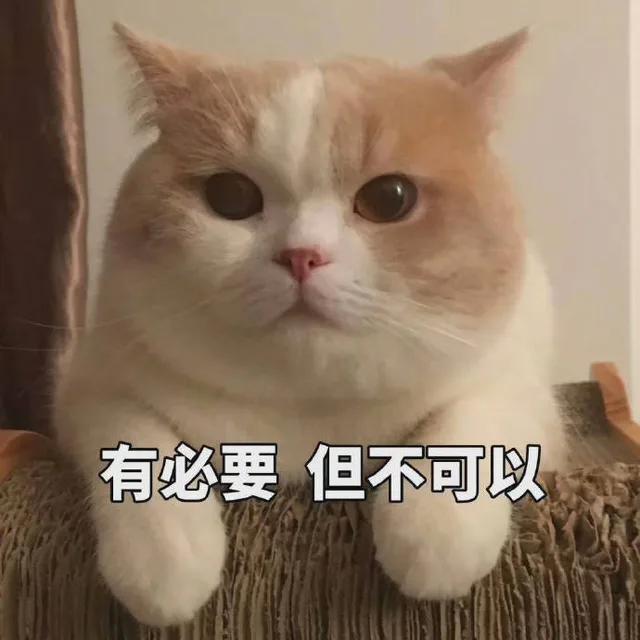 有必要 但不可以（有必要 但不可以）