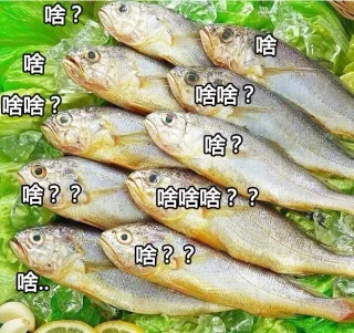 咸鱼系列表情包_咸鱼_装逼