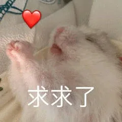 求求了（求求了）