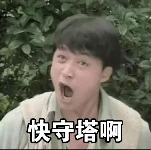 快守塔啊（快守塔啊）