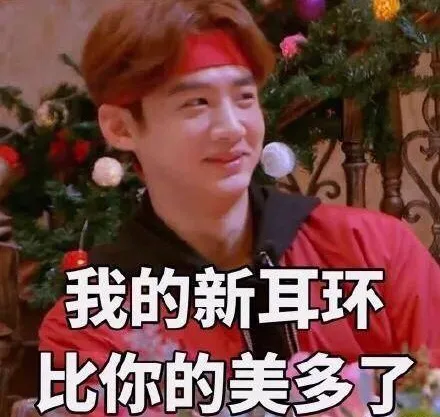 我的新耳环比你的美多了