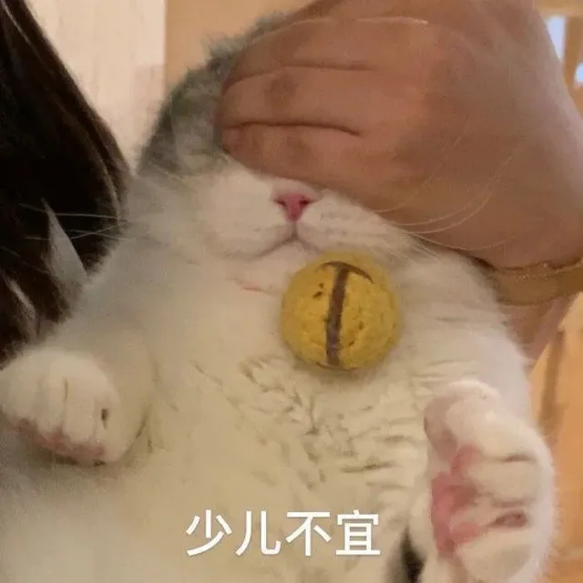 少儿不宜