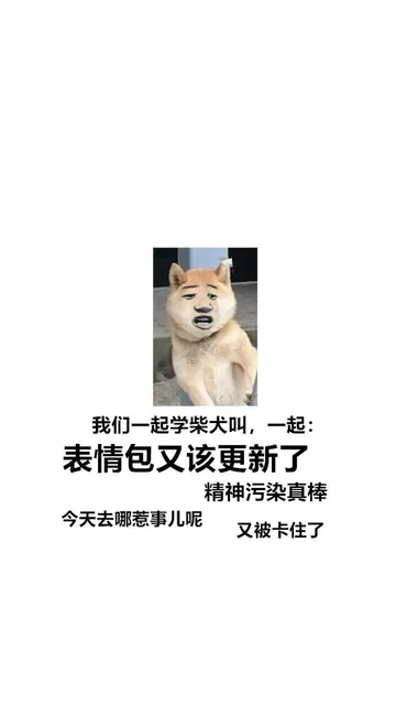 我们一起学柴犬叫,一起:表情包又该更新了精神污染真棒今天去哪惹事儿呢又被卡住了（我们一起学柴犬叫,一起:表情包又该更新了精神污染真棒今天去哪惹事儿呢又被卡住了）