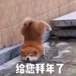 给您拜年了
