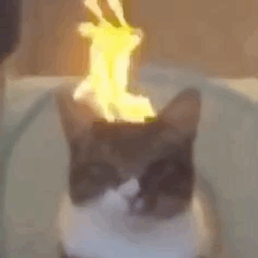 猫猫火冒三丈（猫猫火冒三丈）