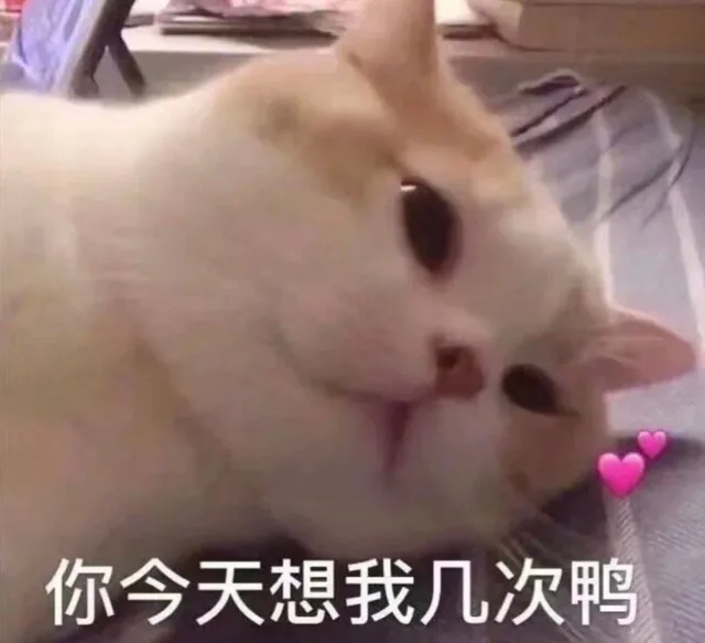 你今天想我几次鸭（你今天想我几次鸭）