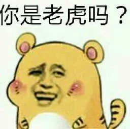 你是老虎吗？（金馆长）