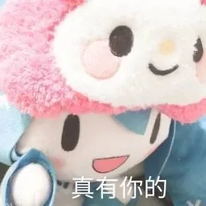真有你的