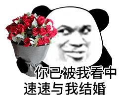 你已被我看中速速与我结婚（你已被我看中速速与我结婚）