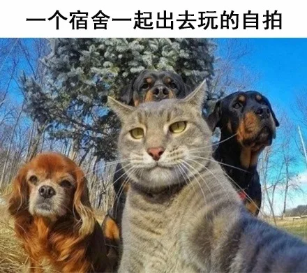 个宿舍一起出去玩的自拍（个宿舍一起出去玩的自拍）