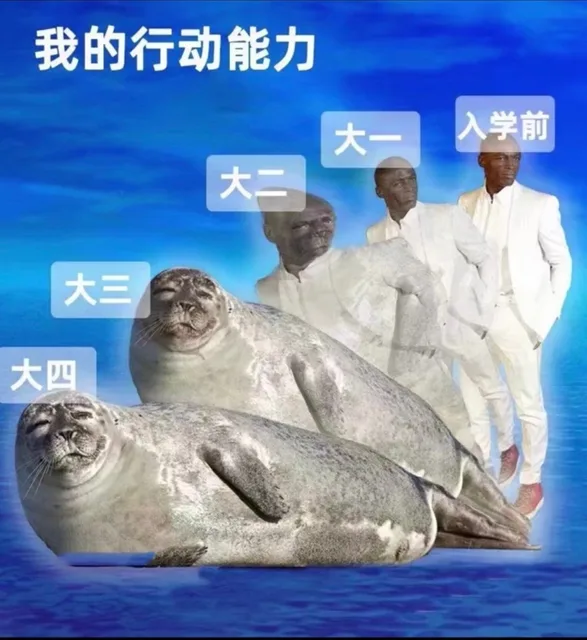 我的行动能力大一入学前大二大三大四