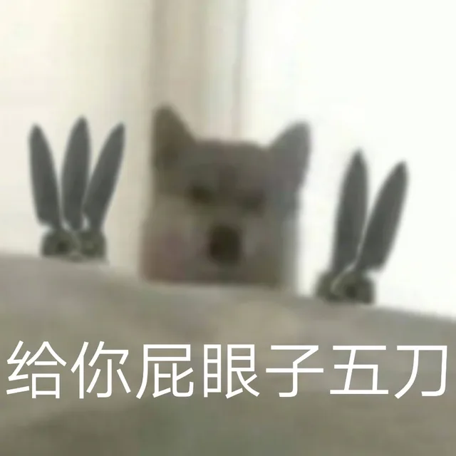 给你屁眼子五刀