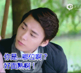 你是哪位啊？好面熟啊！（你是哪位啊？好面熟啊！）