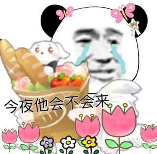 今夜他会不会来