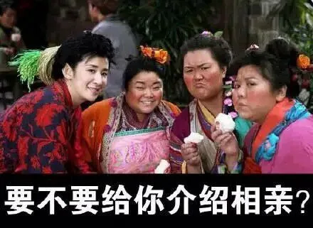 要不要给你介绍相亲？（要不要给你介绍相亲？）