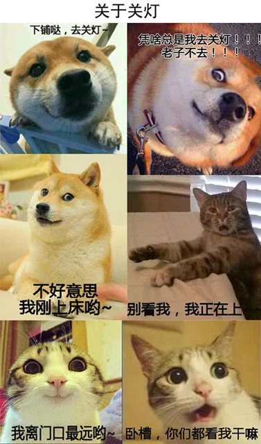 关于关灯下铺哒,去关灯凭啥总是我去关灯老子不去!!不好意思我刚上床哟~别看我,我正在上我离门口最远哟~卧槽,你们都看我干嘛（关于关灯下铺哒,去关灯凭啥总是我去关灯老子不去!!不好意思我刚上床哟~别看我,我正在上我离门口最远哟~卧槽,你们都看我干嘛）