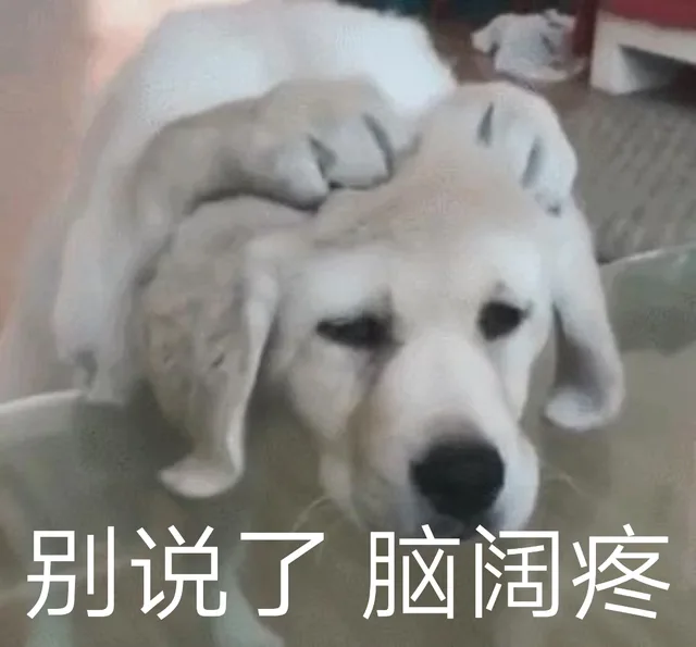 别说了脑阔疼（别说了脑阔疼）