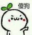 傻狗