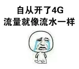 我可爱的流量跑哪里去了？_跪下_流量表情包