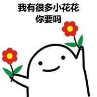 我有很多小花花，你要吗？