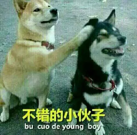 不错的小伙子