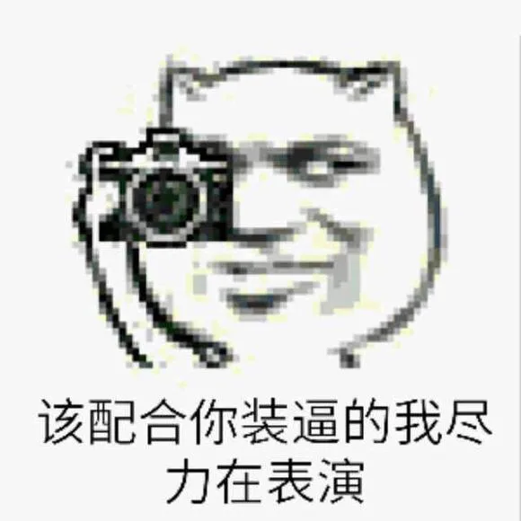 该配合你装逼的我尽力在表演（该配合你装逼的我尽力在表演）