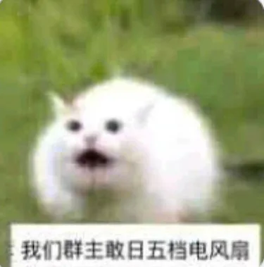 我们群主敢日五档电风扇（我们群主敢日五档电风扇）