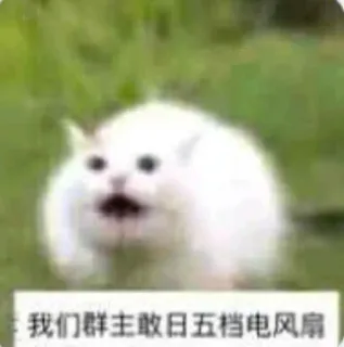 我们群主敢日五档电风扇