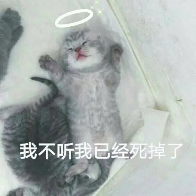 我不听我已经死掉了（我不听我已经死掉了）
