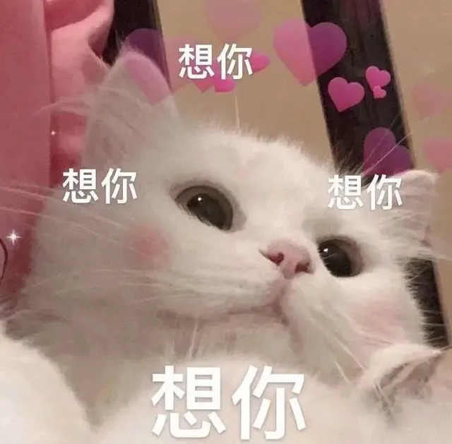 想你想你（想你想你）