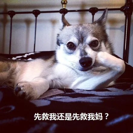 先救我还是先救我妈？（先救我还是先救我妈？）