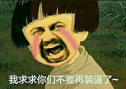 我求求你们不要再装逼了（我求求你们不要再装逼了）